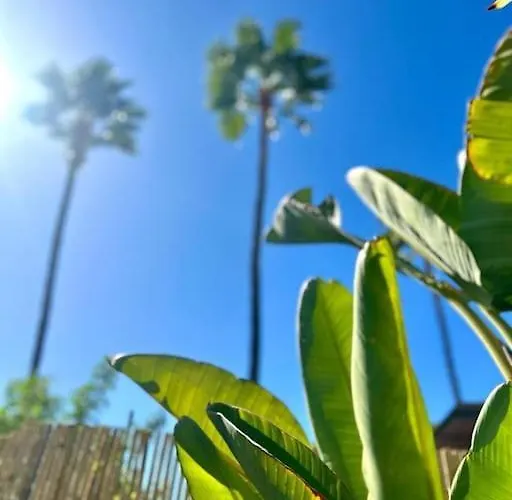 Apartmán Tunos 33 *