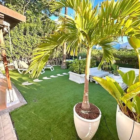 Tunos 33 Apartman